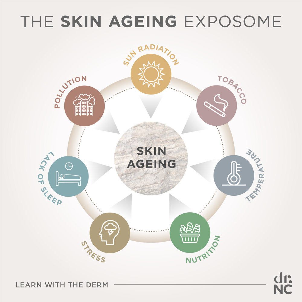 THE SKIN AGEING EXPOSOME